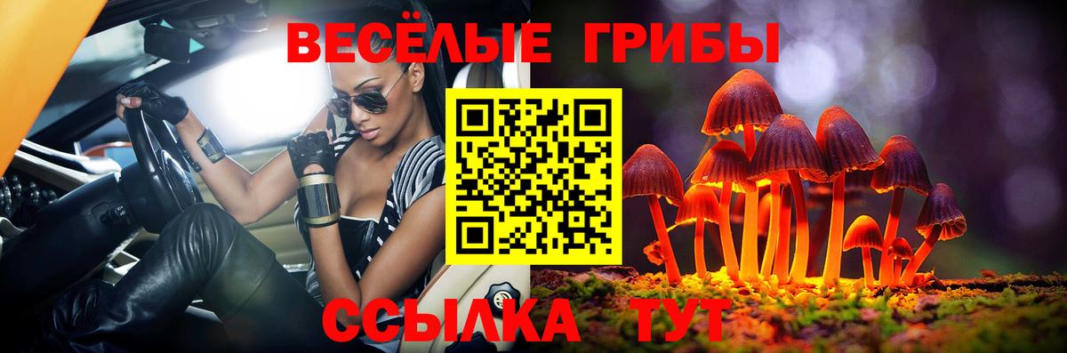 Домодедово  Галлюциногенные грибы Magic Shrooms  Вход с VPN 