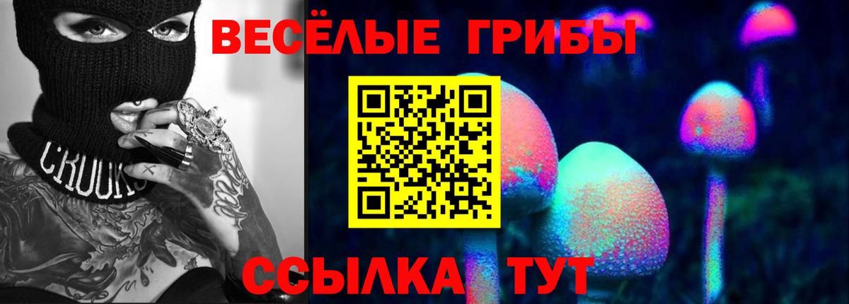 Псилоцибиновые грибы Psilocybe Домодедово